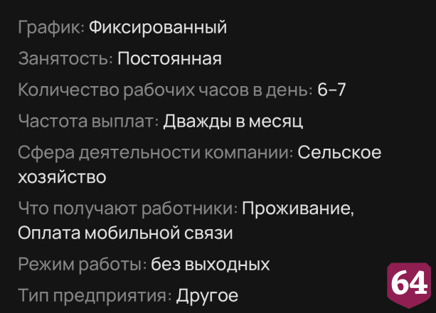 В Саратове готовы платить 70 тысяч за работу с проживанием в собачьем приюте