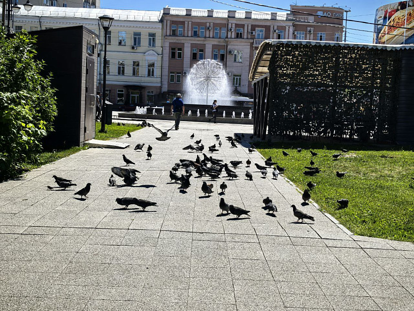 Синоптики обещают саратовцам день без дождя и плюс 30 градусов