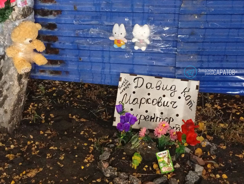 Саратовцы устроили мемориал на могиле погибшего на пожаре кота