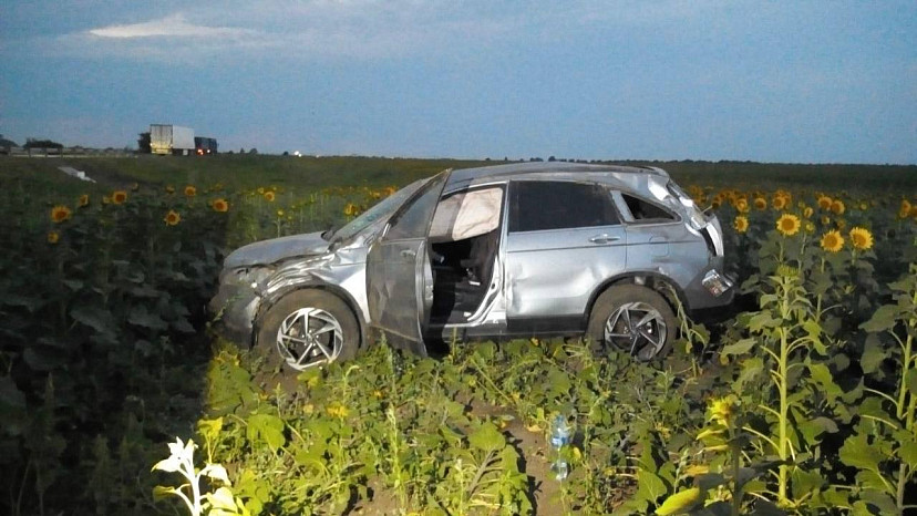 В Саратовской области кроссовер опрокинулся в поле с подсолнухами