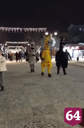 В центре Саратова «кони» выпрашивают деньги у прохожих