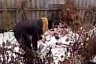Мать выбросила на помойку новорожденную дочь и получила условный срок