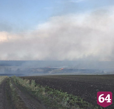 В Саратовской области сгорели 7 гектаров леса