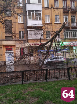 Водители объезжают по тротуару повисшее на проводах дерево