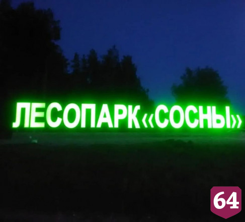 В Петровске в рамках нацпроекта обустроили местный лесопарк