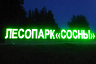 В Петровске в рамках нацпроекта обустроили местный лесопарк