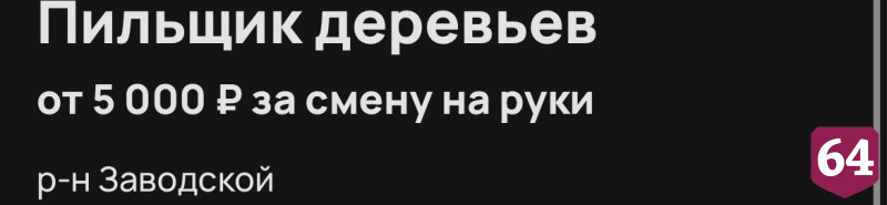 В Саратове пильщику деревьев готовы платить 5 тысяч за смену