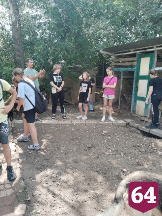 В саратовском приюте собаки «лопаются от счастья» при визитах детей