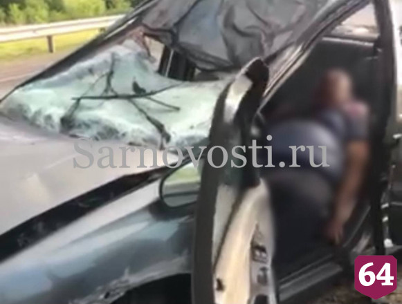 Водитель сбил лося под Саратовом и погиб