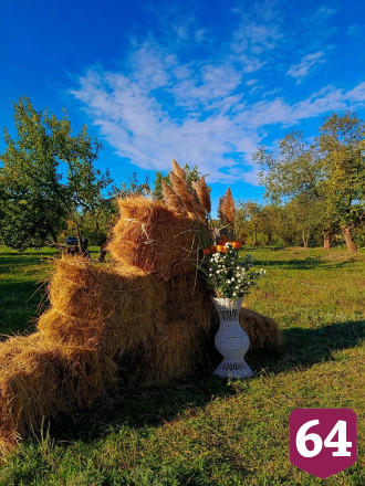 На саратовском фестивале баранины кормили шашлыком и пловом