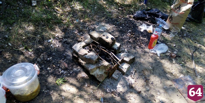 Саратовцев оштрафовали на 210 тысяч рублей за нарушения в лесах