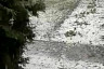 Жители Саратова из-за крупного града боялись выйти на улицу