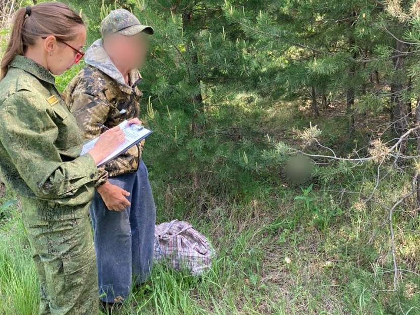 Грибник нашел в лесу человеческий череп 