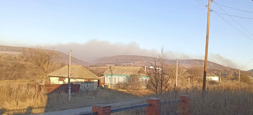 Жители саратовского села Лох и сотрудники лесхоза тушили крупный пожар