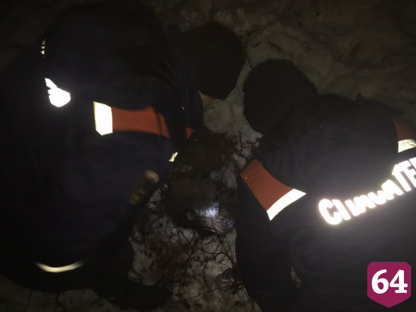 Саратовские спасатели вытащили из колодца щенка