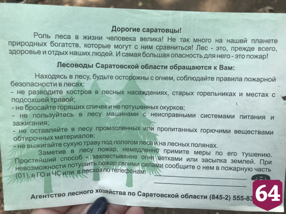 Саратовцев оштрафовали на 700 тысяч рублей за костры в лесах