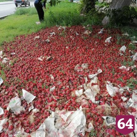 В Саратове выбросили на улицу несколько ящиков клубники