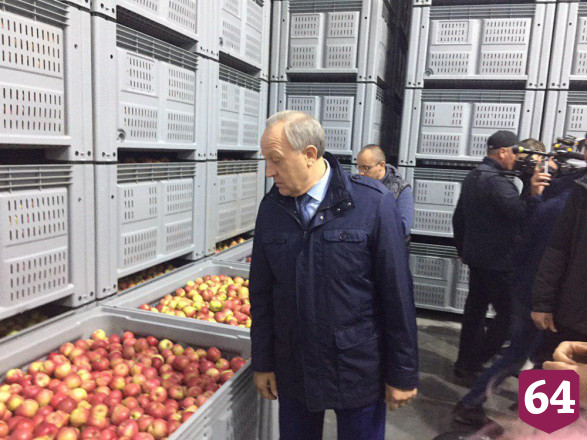 Губернатор оценил современное плодохранилище под Марксом