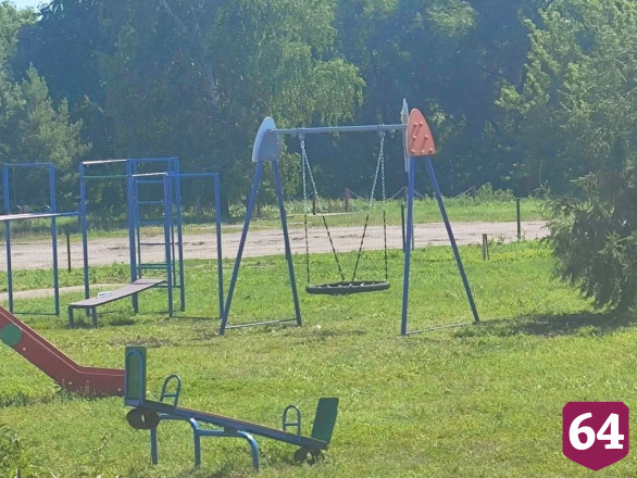 В саратовских селах установили качели-гнезда 