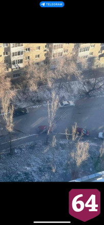 В Саратове дерево рухнуло на припаркованный внедорожник