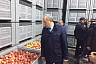 Губернатор оценил современное плодохранилище под Марксом