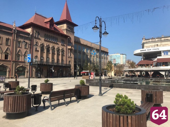 Саратовцы заявили о кражах саженцев с проспекта Кирова