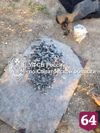 Саратовца осудили на 12 лет за поставки героина из Подмосковья