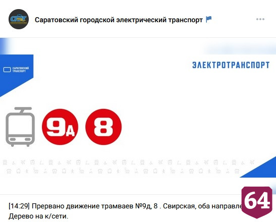 В Саратове из-за упавшего дерева 3 часа не ходят трамваи