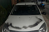 Жителям Саратова из-за щенка изуродовали автомобили и затопили дом