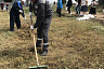 Министр для повышения эффективности переобулся и ушел в камыши