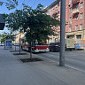 В Саратове из-за ремонта теплотрассы закрыли троллейбусный маршрут 
