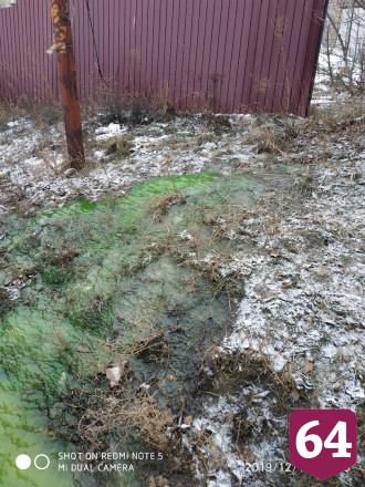 Растекшаяся по улице зеленая жидкость дала саратовцам повод для шуток