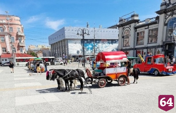 В центре Саратова незаконно катают детей на пони 