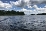 Крупный пожар на острове под Саратовом тушили трое суток
