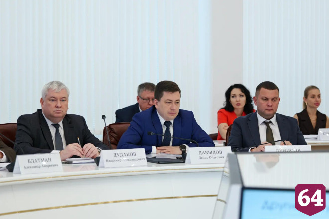 Саратовский губернатор поручил усилить контроль за бездомными животными 