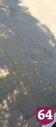 Саратовцы намусорили и изрисовали скамейки в парке 