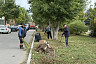 В Саратове на субботник вышли 7 тысяч человек