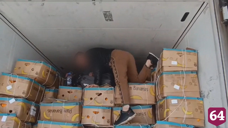 В Саратовской области осудили прятавшихся в фуре с дынями нелегалов