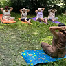 В Саратовской области пенсионерки медитируют для активного долголетия