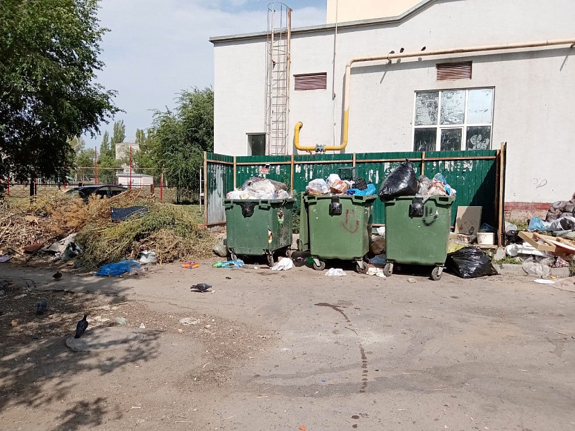 Горожанка поставила «неуд» за уборку мусора у школы