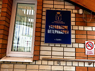 В Саратовской области спасли 5-летнего Чарли после нападения алабая 