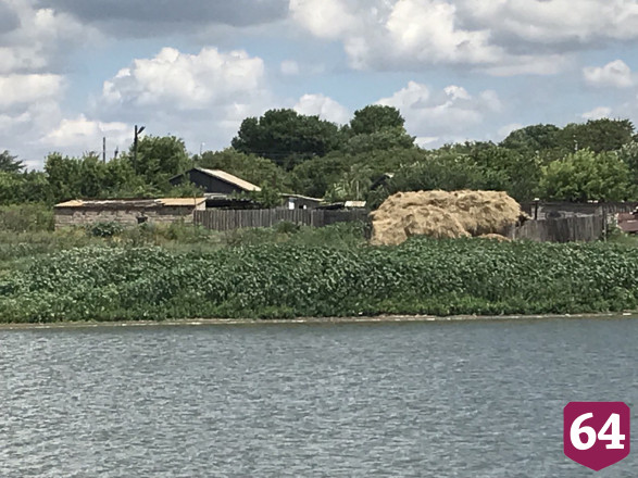 Экскаваторы тонули в иле при расчистке водохранилища под Саратовом 