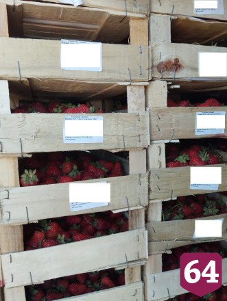 В Саратовскую область не попали 4 тонны клубники из Казахстана 