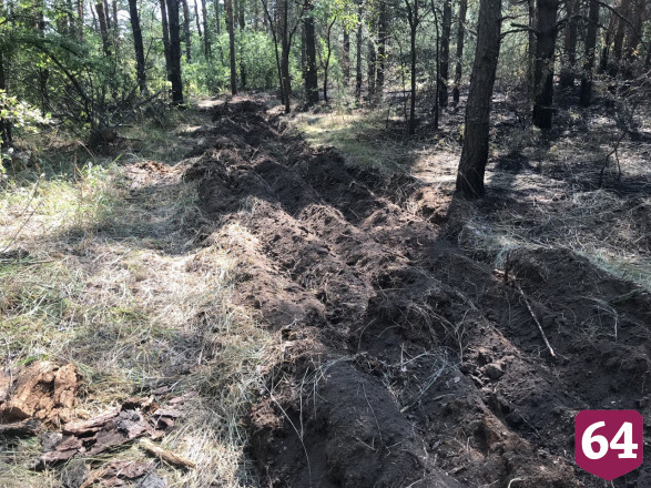 В поджоге леса под Саратовом заподозрили грибников