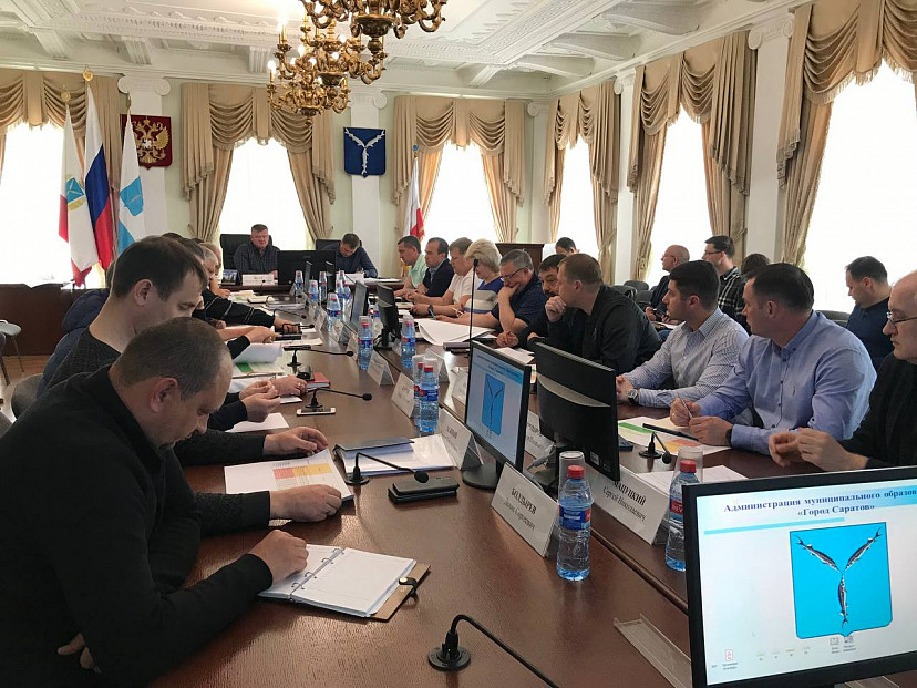 За неделю в Саратове отловили 100 собак