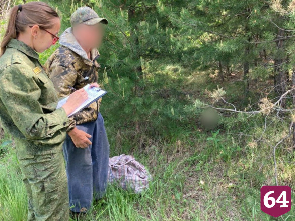 Грибник нашел в лесу человеческий череп 