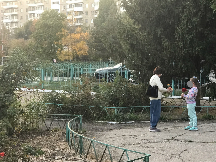 Саратовцы осудили бабушку с внучкой за сорванные с клумбы цветы 