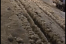 В Саратове не чищенную от снега улицу заливает водой
