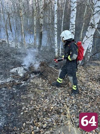 Ликвидирован лесной пожар около саратовского села Лох