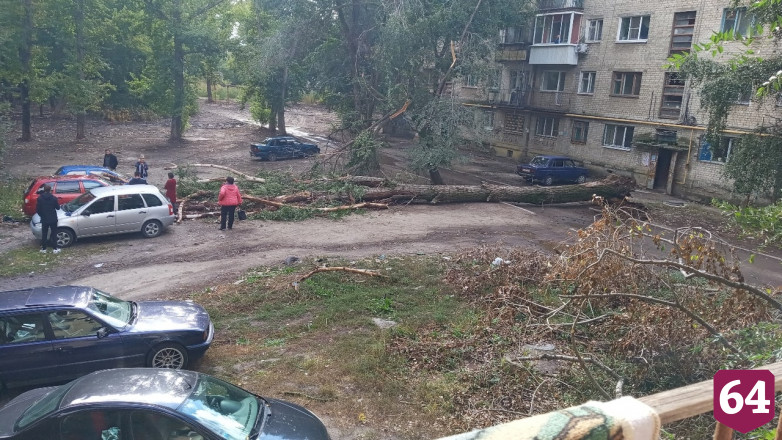 Огромный ствол дерева рухнул на дорогу рядом с машинами